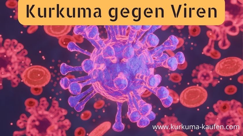 Kurkuma gegen Viren